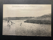 Cpa chasse baie d'occasion  Toulouse-