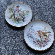 Plates. edwardian fine for sale  CARNFORTH