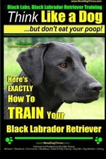 Black labs black for sale  ROSSENDALE