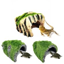 Reptile vivarium corner for sale  SHREWSBURY