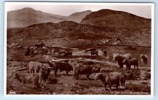 Rppc scottish highlands for sale  Foresthill