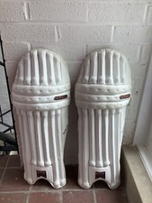 newbery sps for sale newbery sps for sale HAILSHAM