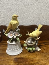Pair yellow canary for sale  Lancaster