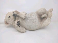 Sandicast labrador pup for sale  Bolingbrook