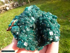 Dioptase dem congo gebraucht kaufen  Weiden