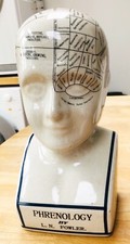 Vintage phrenology head for sale  NEWTON ABBOT