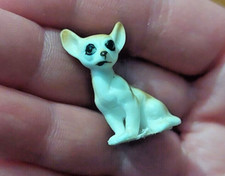Tan white chihuahua for sale  Vineland