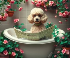 Poodle bath metal for sale  DUNSTABLE