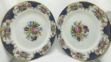 Rosenthal bavaria ivory gebraucht kaufen  Odenthal