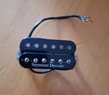 Gitarre ibanez seymour gebraucht kaufen  Wissen-Umland