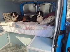 Vauxhall vivaro campervan for sale  UMBERLEIGH