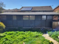 Large pigeon loft for sale  ST. LEONARDS-ON-SEA
