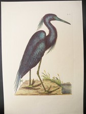 1974 natural history d'occasion  Expédié en Belgium
