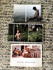 David hilliard photographs for sale  Easthampton