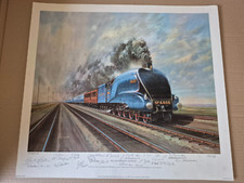 Print mallard breaking for sale  MILTON KEYNES
