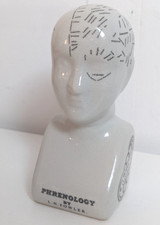 Vintage phrenology head for sale  DURHAM