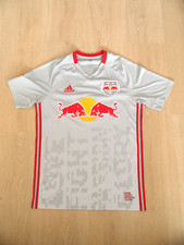 Red bull new gebraucht kaufen  Rosengarten