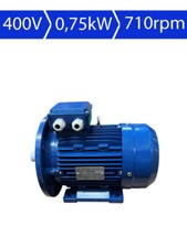 Motors ms100l1 elektromotor gebraucht kaufen  Krefeld