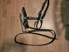 Leather horse halter for sale  Durham