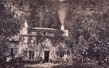 Vintage postcard labrador for sale  Ireland