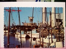 Morro bay fishing for sale  Buchanan Dam