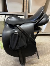 Passier young star gebraucht kaufen Passier young star gebraucht kaufen  Kulmbach