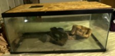 Fish tank gallons for sale  Chicago