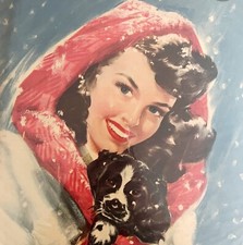 Gorgeous woman spaniel for sale  Cambridge