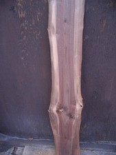 Amerikanischer nussbaum bohle gebraucht kaufen  Rahden