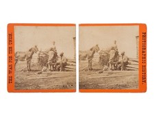 Mathew brady stereoview for sale  Woodland Hills
