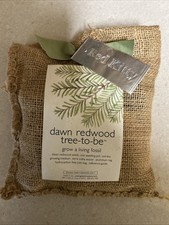 Tree dawn redwood for sale  Newnan