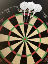 Moin dartspieler dartanfänger gebraucht kaufen  Delmenhorst