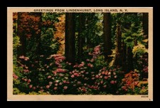 CARTÃO POSTAL DE LINHO FLORESCENDO NA FLORESTA LINDENHURST LONG ISLAND NOVA YORK comprar usado  Enviando para Brazil