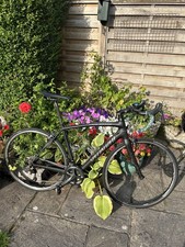 Specialized sl4 ultegra for sale  CHESTER