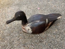 Canard appelant chasse d'occasion  Malaunay