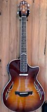 Guitare hybride crafter d'occasion  Crest