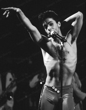 8x10 print prince for sale  Gardnerville