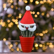 Cactus santa face for sale  IPSWICH