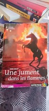 Cheval fantome jument d'occasion  Murat