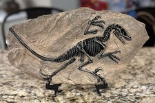 Funsxbug resin velociraptor for sale  Bradford