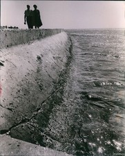 1961 photo couple for sale 1961 photo couple for sale  Germantown