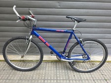 Bicicletta rainer bike usato  Preganziol
