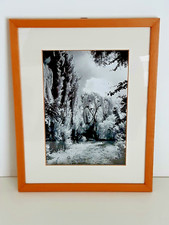 Quadro fotografia bianco usato  Carpi