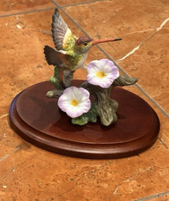Hummingbirds bird morning for sale  Jasper