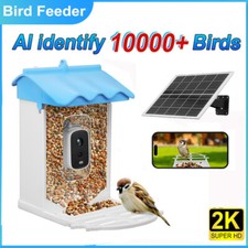 live birds for sale  CANNOCK