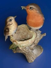 Robin feeding chick for sale  NANTWICH