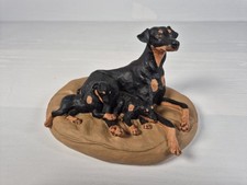 Doberman puppies heredities for sale  ROYSTON