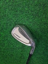 Hippo hybrid2 eisen gebraucht kaufen  Delmenhorst