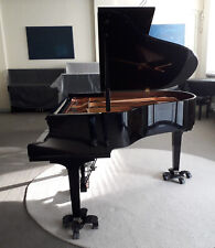 Yamaha silent flügel gebraucht kaufen  Braunschweig
