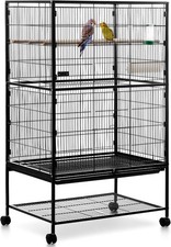 Tier large parrot for sale  BRADFORD